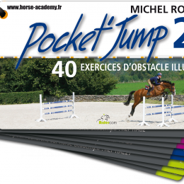 Pocket Jump 2